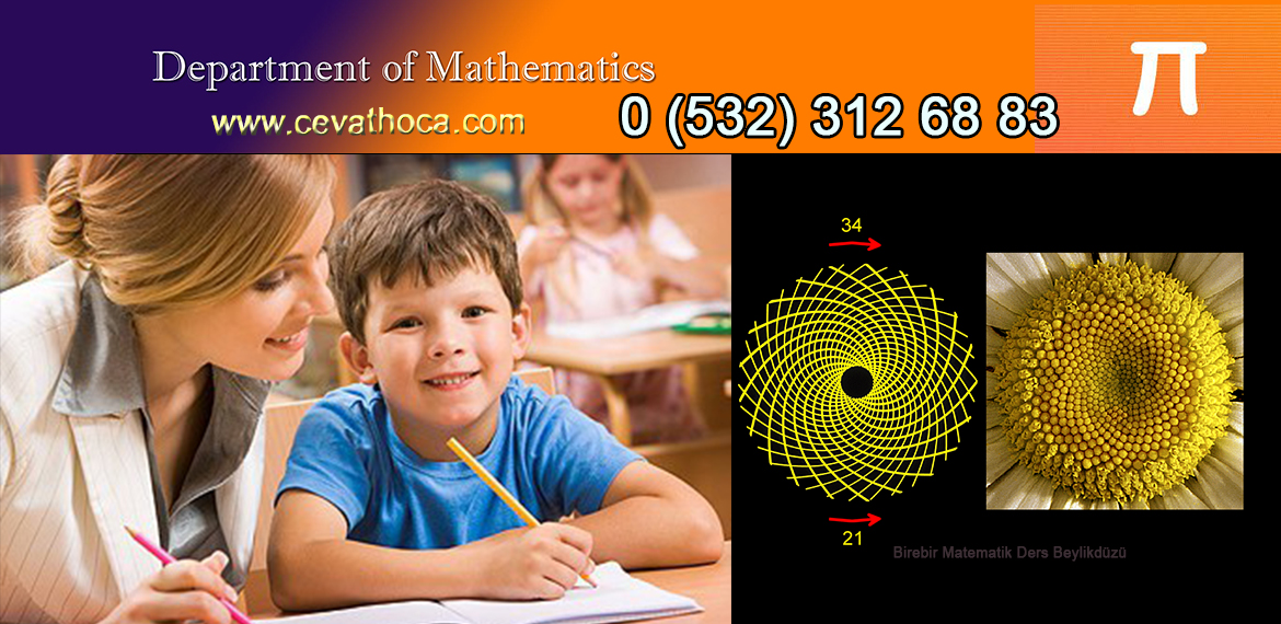 Birebir Matematik Ders Beylikdüzü